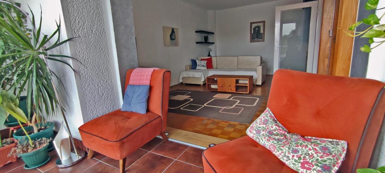 Sokolov Apartment سميديريفو المظهر الخارجي الصورة