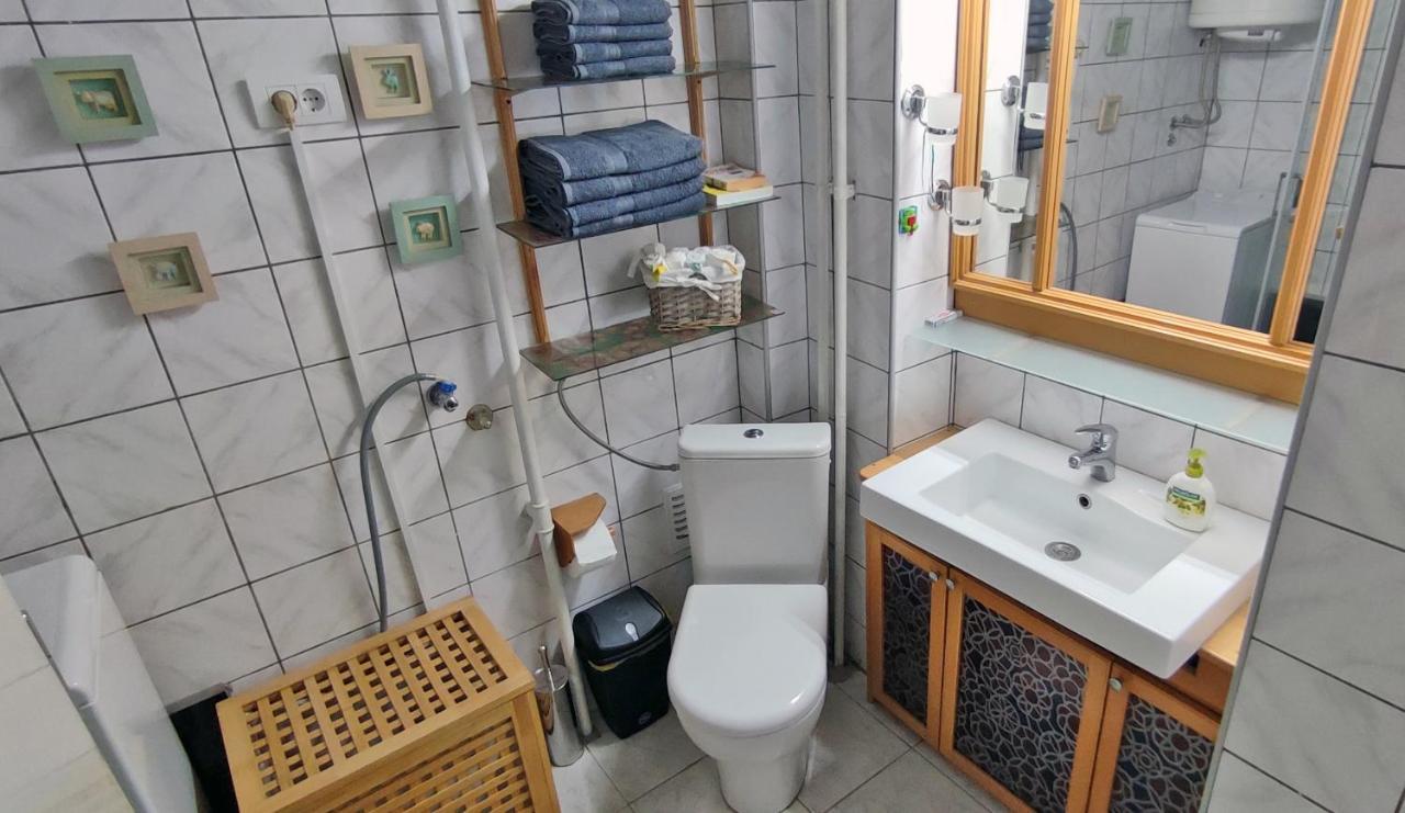 Sokolov Apartment سميديريفو المظهر الخارجي الصورة