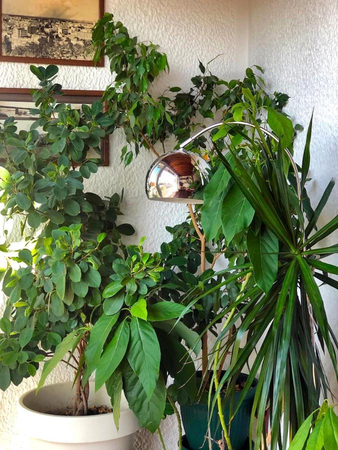 Sokolov Apartment سميديريفو المظهر الخارجي الصورة